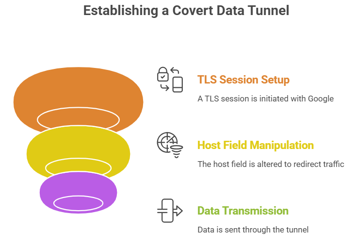Google Infrastructure Domain Fronting Attack