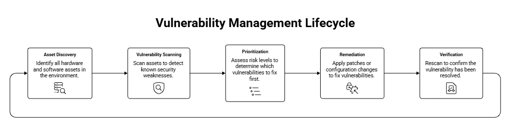 Vulnerability Management Lifecycle